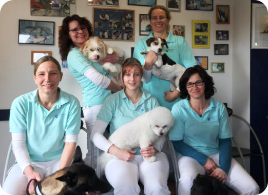 Mitarbeiter der Tieraztpraxis Dr. Nitsch zwischen Bayreuth und Kulmbach in Neudrossenfeld