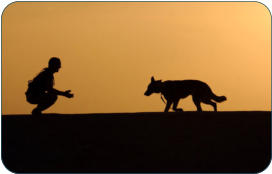 Pysiologische Daten zum Hund -  Kleintierpraxis Dr. H. Nitsch