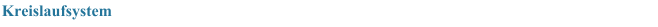 Kreislaufsystem